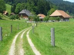 trampled path to the houses, landscape,Switzerland