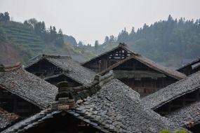 houses roofs chinese architecture Forest aback