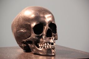 sculpture of bronze skull