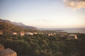 houses among green trees on the coast