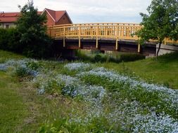 village house and wooden bridge at blooming meadow, finland