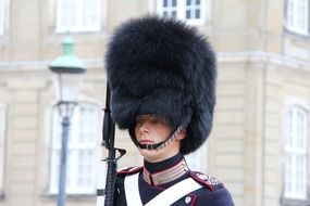 guard in black fur hat at amalienborg palace, head portrait, denmark, copenhagen