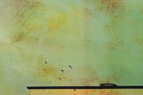 birds in sky above roof, effect of old paper, vintage background