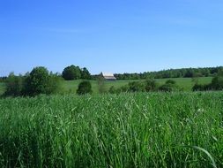 pasture in nova scotia