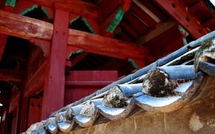 aged wooden roof of traditional asian palace