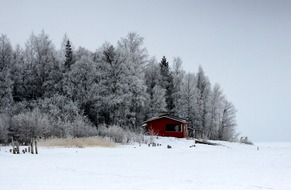 red hut near winter forest in Finland