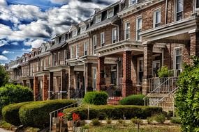 row of brick houses with plants at porches, usa, washington dc