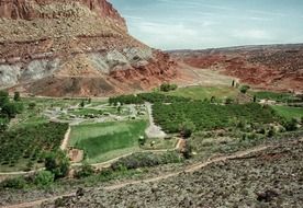 green fields and gardens in valley at mountain, usa, utah