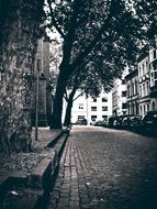 cobblestone road in old town, black and white
