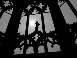 gothic stone carving on window of ulm cathedral, germany, mÃ¼nster