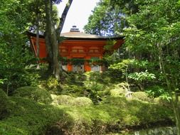 aged buddhist temple in wilderness, japan, shingon, otsu