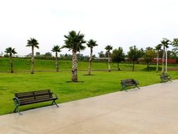 free benches at walk path in tropical park