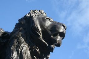 detail of lion sculpture, head at sky, uk, england, london