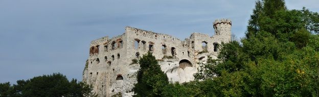 ruined medieval ogrodzieniec castle among trees, poland, Jura