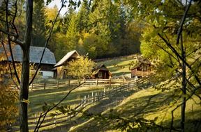 farm buildings in forest at autumn