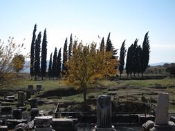 asklepion, ancient healing temples ruins, greece, kos