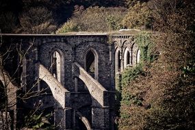 ancient ruin of Villers Abbey in forest, belgium, villers-la-ville