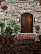 carpet and potted plants on pavement at wooden door in stone wall