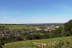 Vineyard in loire valley at the daytime