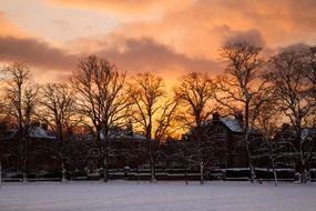 beautiful orange sky at sunset
