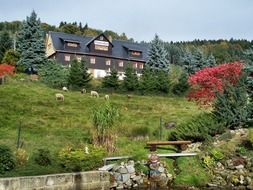 Pension Tannenhof on hill side at autumn, germany, Sebnitz