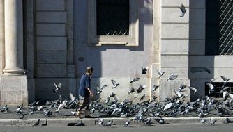 woman pedestrian and pigeons, italy, rome