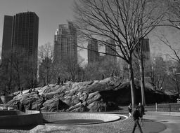 people resting on rock in central park at city, usa, nyc