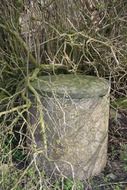 closed concrete water well overgrown with plants