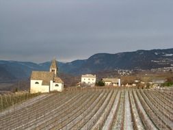 landscape of vineyard and old village invalley at mountain at winter, italy, south tyrol