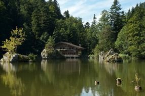 scenic lake in forest at summer, austria