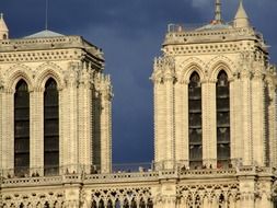 people on balcony of notre dame cathedral, france, paris