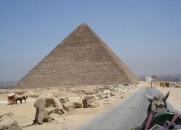 horse drawn wagon on road at pyramid, egypt, giza