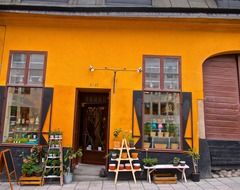 potted plants on street at facade of ceramics shop in old city