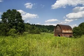landscape of wooden barn on meadow in summer countryside
