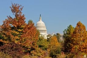 dome of capitol at blue sky behind colorful autumn trees, usa, washington dc