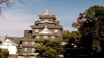 Donjon Tower of okayama castle, japan