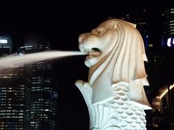 Merlion fountain at night city, singapore