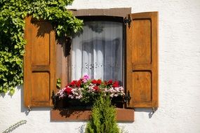 Wooden shutters and flower box on a window still