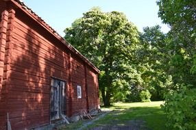 long red timber building at summer