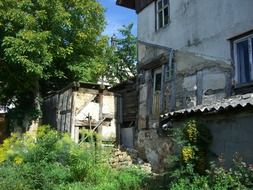 overgrown backyard of ruined house