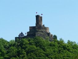 Ehrenburg, ruin of a spur castle on forested hill, germany