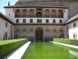 mirroring pond in courtyard of alhambra palace, spain, granada