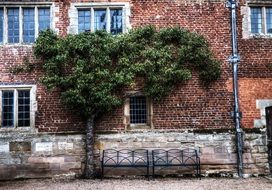 benches beneath green tree at old red brick building