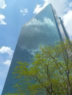 green tree at blue glass skyscraper, usa, ohio, toledo