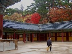 man with broom in courtyard of temple at fall, south korea