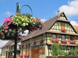 beautiful flower decorations on street and facades, france, ban-rhin