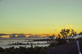 foggy valley at summer morning, top view