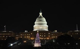 christmas tree in front of capitol building at night, usa, washington dc