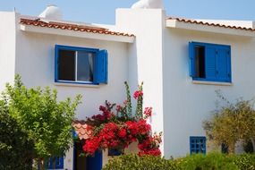 White houses with blue windows in Greece