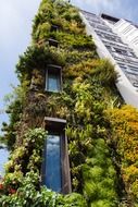 Exterior of a building in flowers and foliage